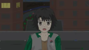 偷猫贼 3