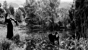 Misericorde Volume Two: White Wool & Snow 2