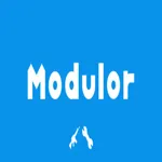 Modulor 1