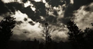 The Rake 1